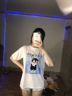 Áo phông 5d( ib để lựa mẫu)