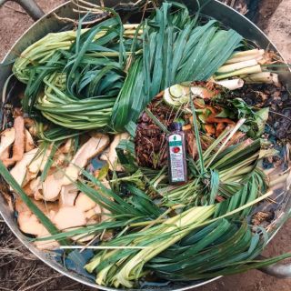 TINH CHẤT THẢO MỘC