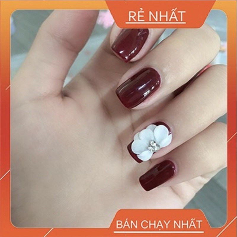 hoa bột nail -6k/1b.