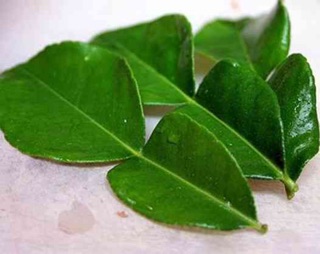 10 lá bưởi tươi