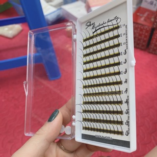 Mi trụ katun nối mi chuyên nghiệp