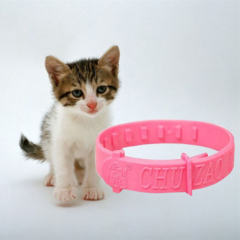 Vòng đeo cổ đuổi rận bảo vệ cho thú cưng tiện lợi