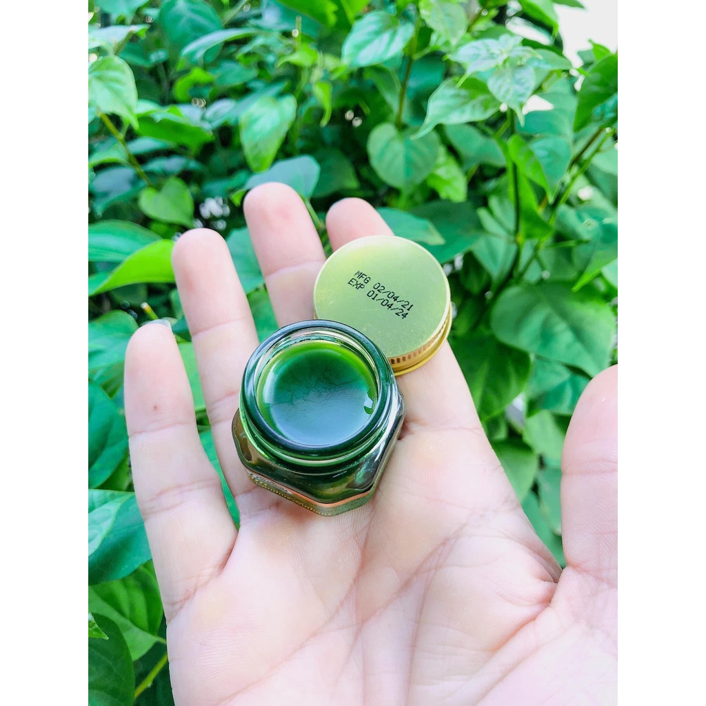 Dầu cù là xanh Balm Hop Headed Barleria (Green Herb)