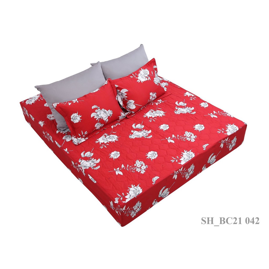 Bộ ga chun 180x200 có chần cotton Sông Hồng