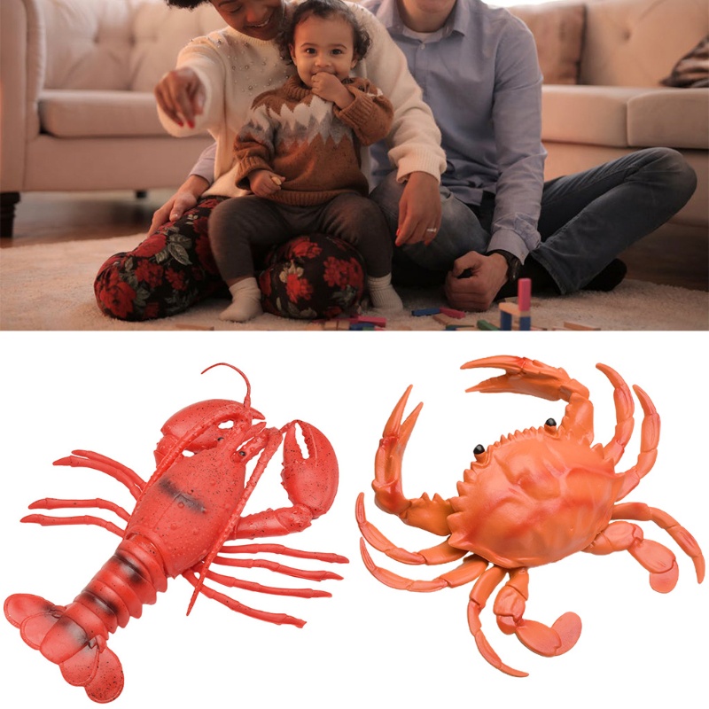 1 Đồ Chơi Hình Con Cua Chống Độc Hại Dành Cho Trẻ Em
