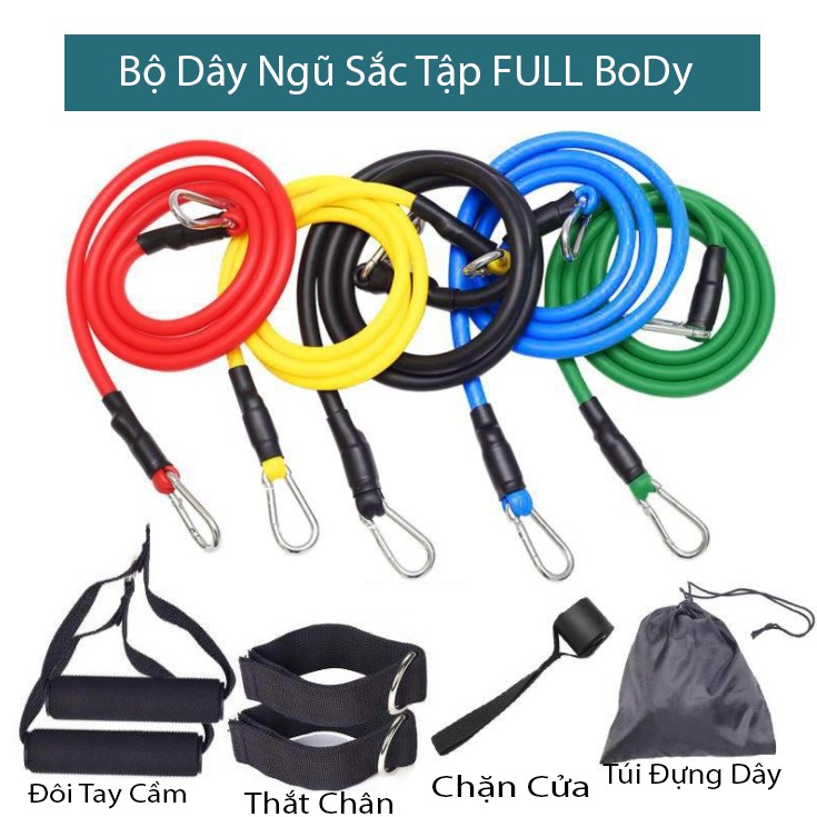 Dây Ngũ Sắc Tập Gym Đàn Hồi Full Body Hiệu Qủa Mới Nhất