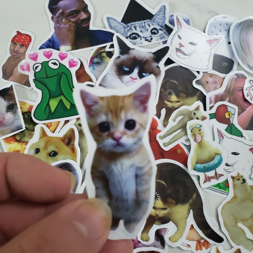 Sticker meme/ Sticker chống nước dán mũ bảo hiểm, dán điện thoại, laptop,...