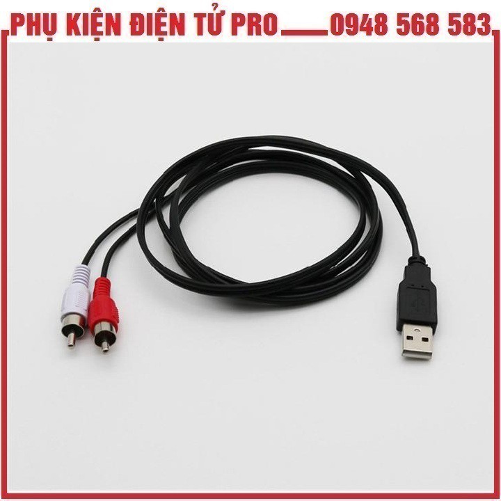 Cáp Chuyển Usb Sang Av 2 Đầu Cho Tivi 1.5M