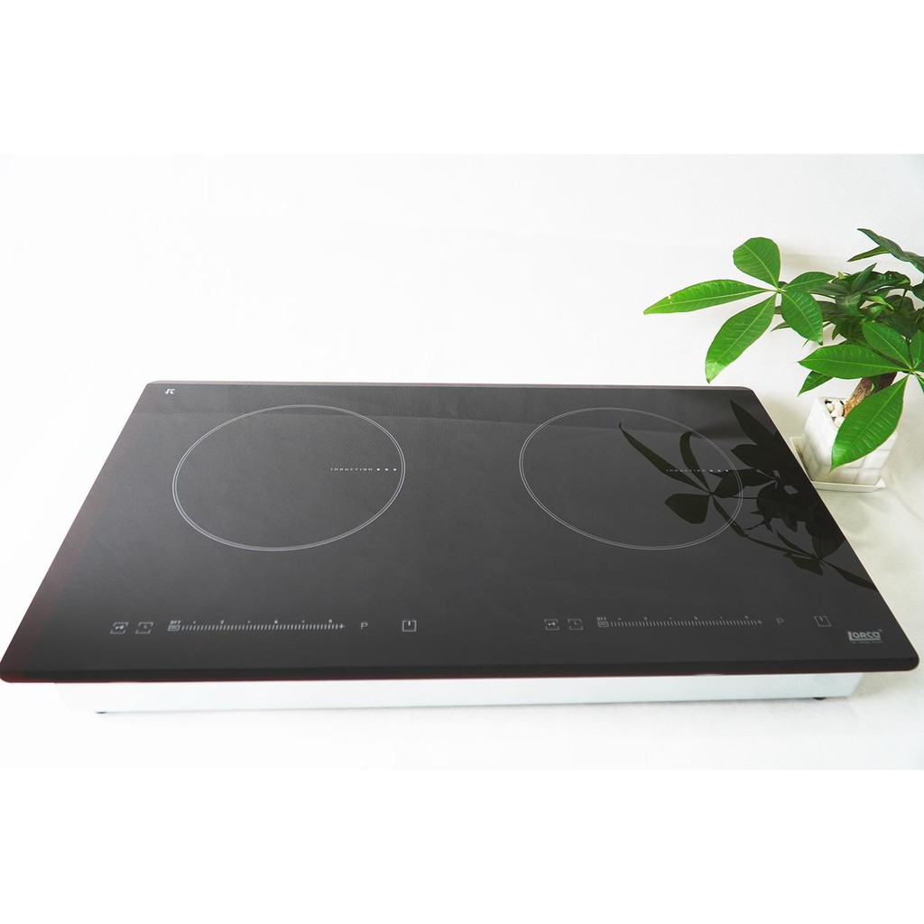 Bếp từ Lorca TA-1006C