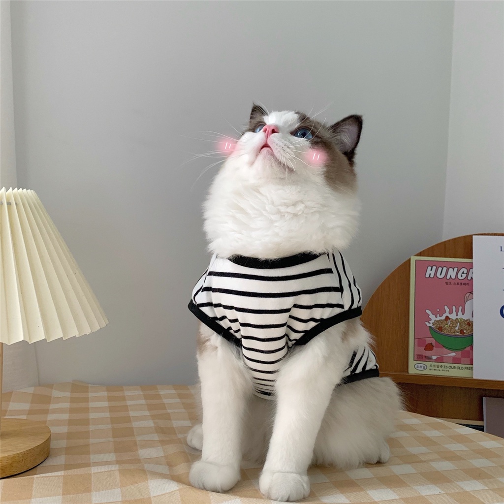 Áo Ba Lỗ Mùa Hè Cho Thú Cưng