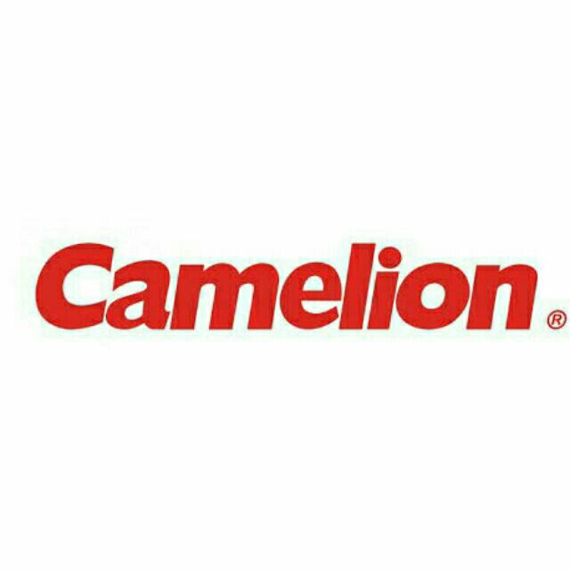 Pin A23 Camelion 12V