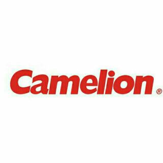 Pin A23 Camelion 12V