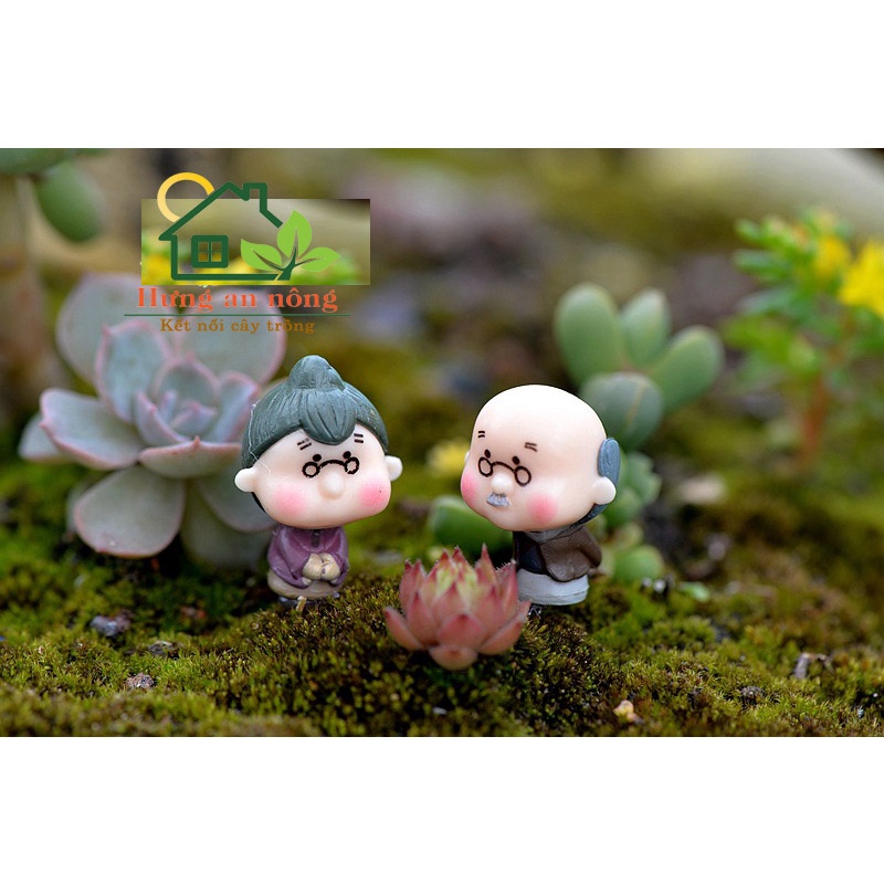TT49 - CẶP ĐÔI ÔNG BÀ MINI GIAO MẪU NGẪU NHIÊN trang trí tiểu cảnh sen đá xương rồng cây để bàn