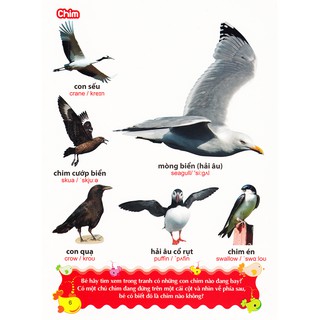 Sách: Từ Điển Tranh Về Các Con Vật - Động Vật (Bìa Cứng B100)