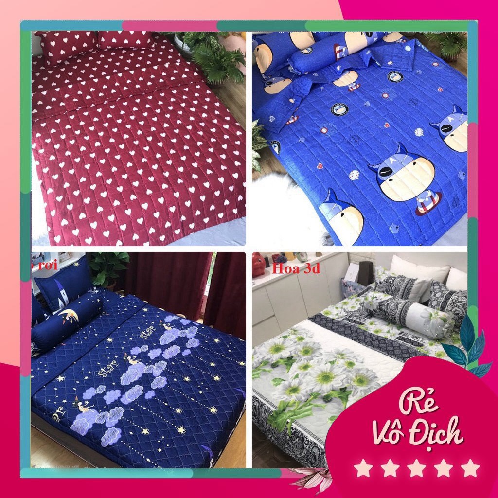 Bộ ga chun kèm 2 vỏ gối poly cotton ( 1m6 x 2m - 1m8 x 2m)