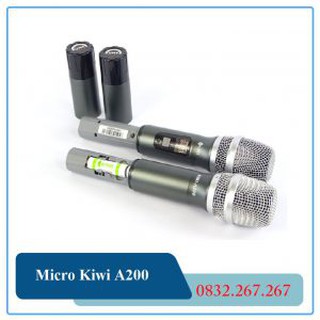 Micro kiwi a200