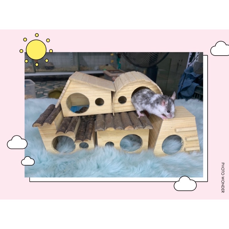 Nhà gỗ tự nhiên đáng yêu cho pet nhỏ