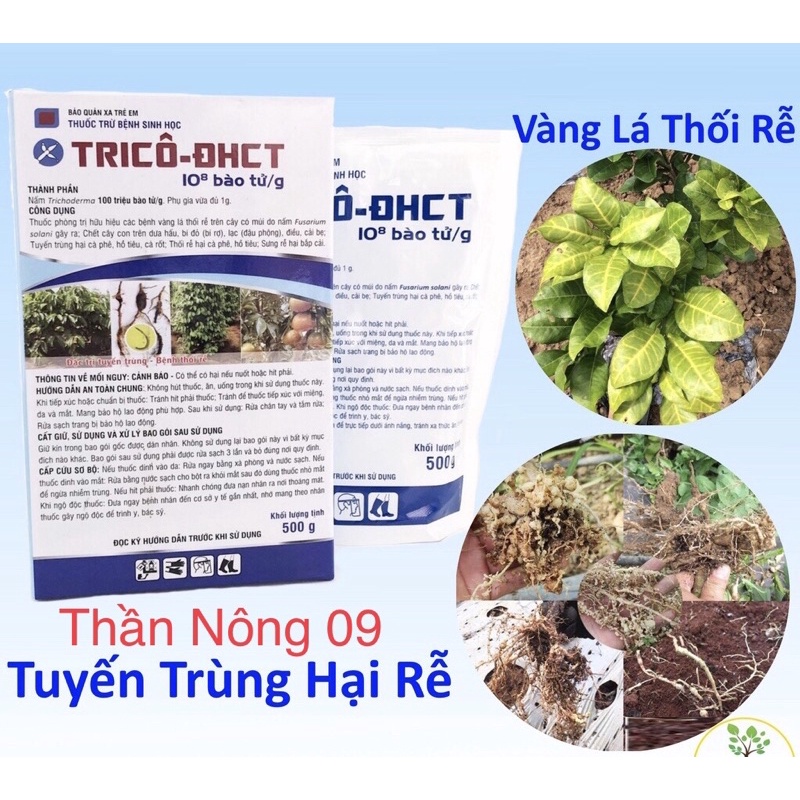 Nấm đối kháng TRICO -DHCT goi 500gr