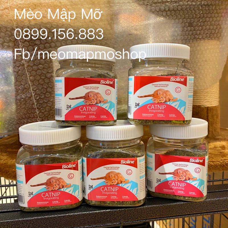 CATNIP CỎ MÈO HỦ 20g