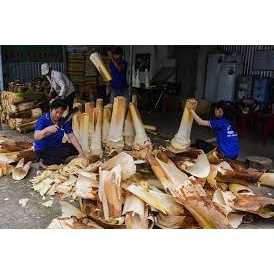 Củ hũ dừa tươi ngon