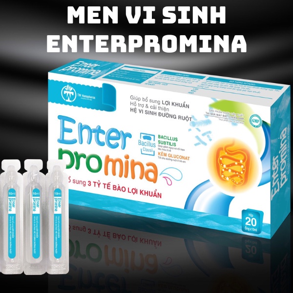 Men vi sinh ENTERPROMINA, Cân bằng hệ vi sinh đường ruột, bảo vệ hệ tiêu hoá cho trẻ (hộp 20 ống*10ml)