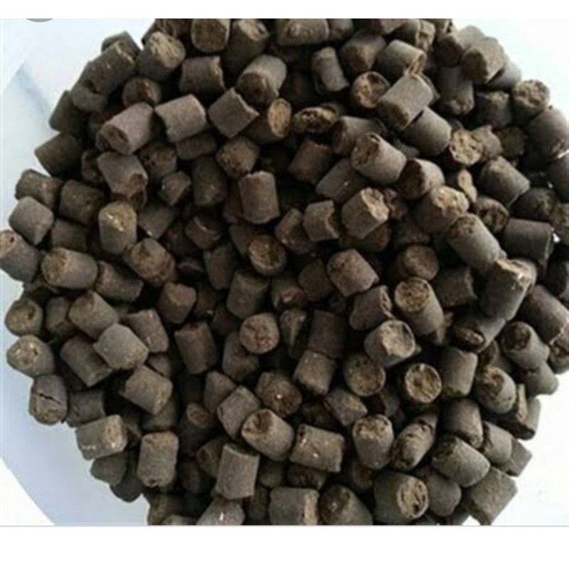 PHÂN CÁ VI SINH  VIÊN NÉN CỦA NHẬT