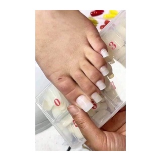 móng úp chân dài đục trong