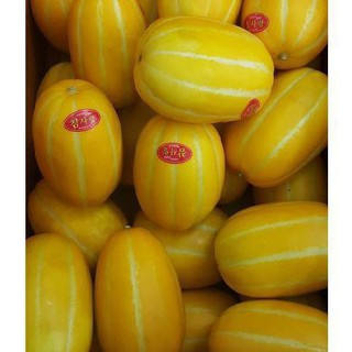 [HOT] Hạt giống dưa lê Hàn Quốc