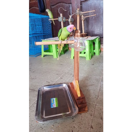 Cầu Đứng Cho Chim Vẹt