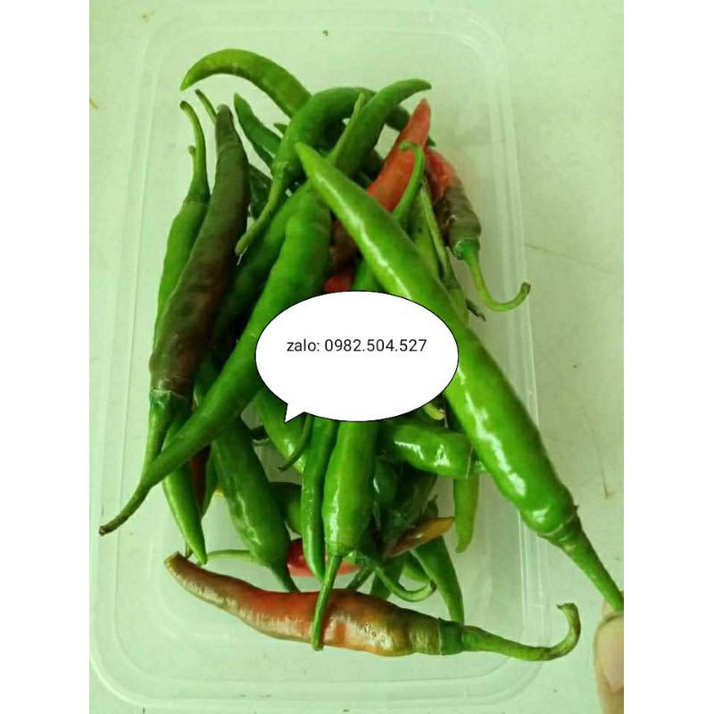 HẠT ỚT XANH QUÊ ĂN MỲ QUẢNG