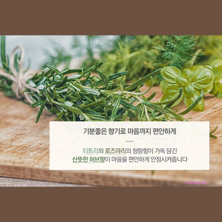 Tinh dầu tràm trà dưỡng ẩm mát xa cơ thể
 | BigBuy360 - bigbuy360.vn