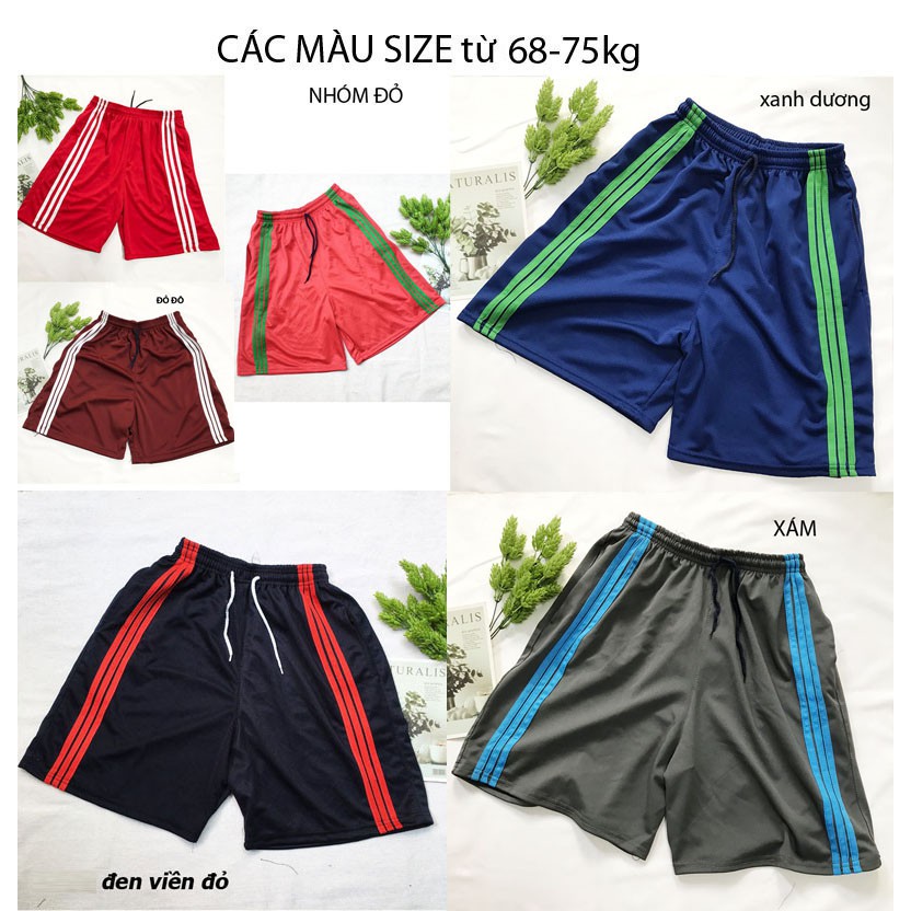 Quần đùi nam SIZE từ 55kg-75kg quần sọt short lửng nam thể thao mặc nhà thun phối 3 sọc - QDN04