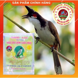Cám chim chào mào minh anh số 2