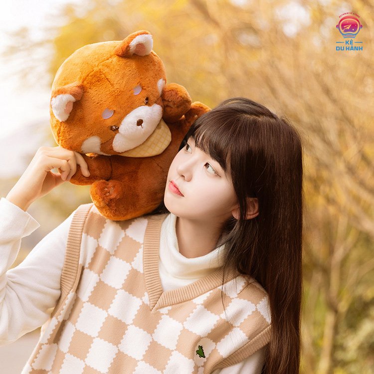 Gấu bông gối ôm Gấu đỏ 50cm Kẻ du hành