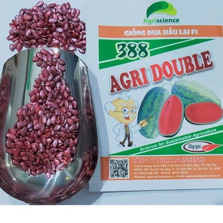 Hạt giống giống dưa hấu lai f1 - agri double 388