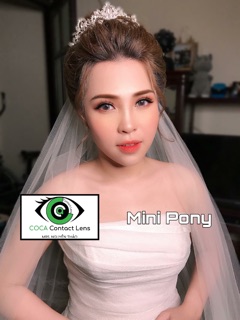 Kính áp tròng PONY