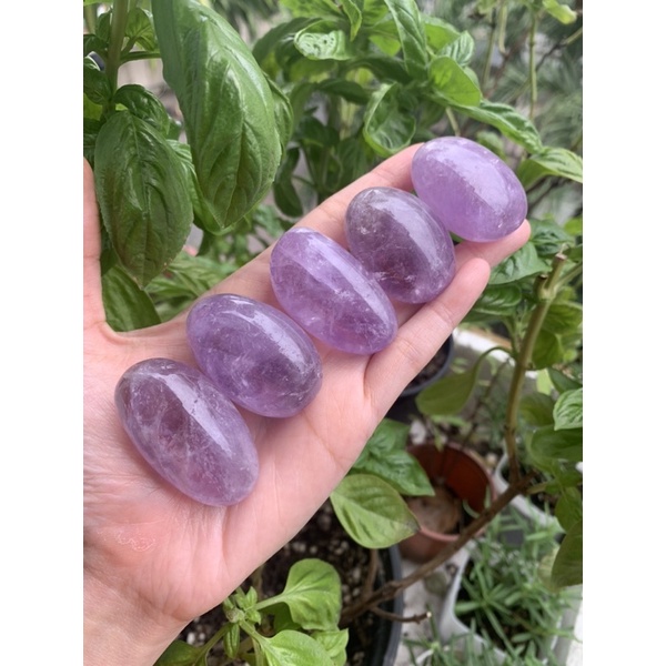 Palm đá Amethyst mini