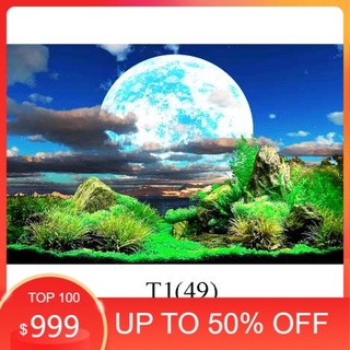 Tranh 3D dán bể cá cảnh hồ thuỷ sinh