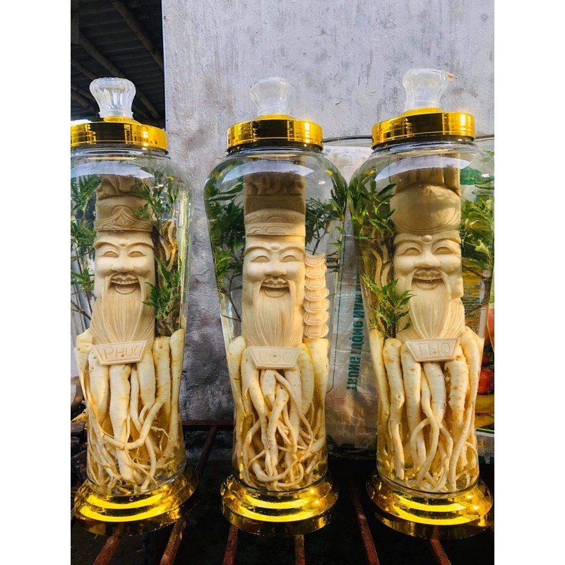 đinh lăng điêu khắc bình 7lit(1bình)