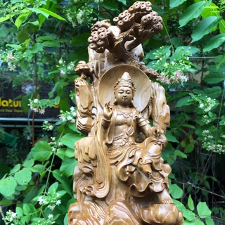 Tượng Gỗ Quán Thế Âm Bồ Tát Tự Tại Gốc Tùng