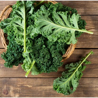 HẠT GIỐNG CẢI KALE GÓI 5GR