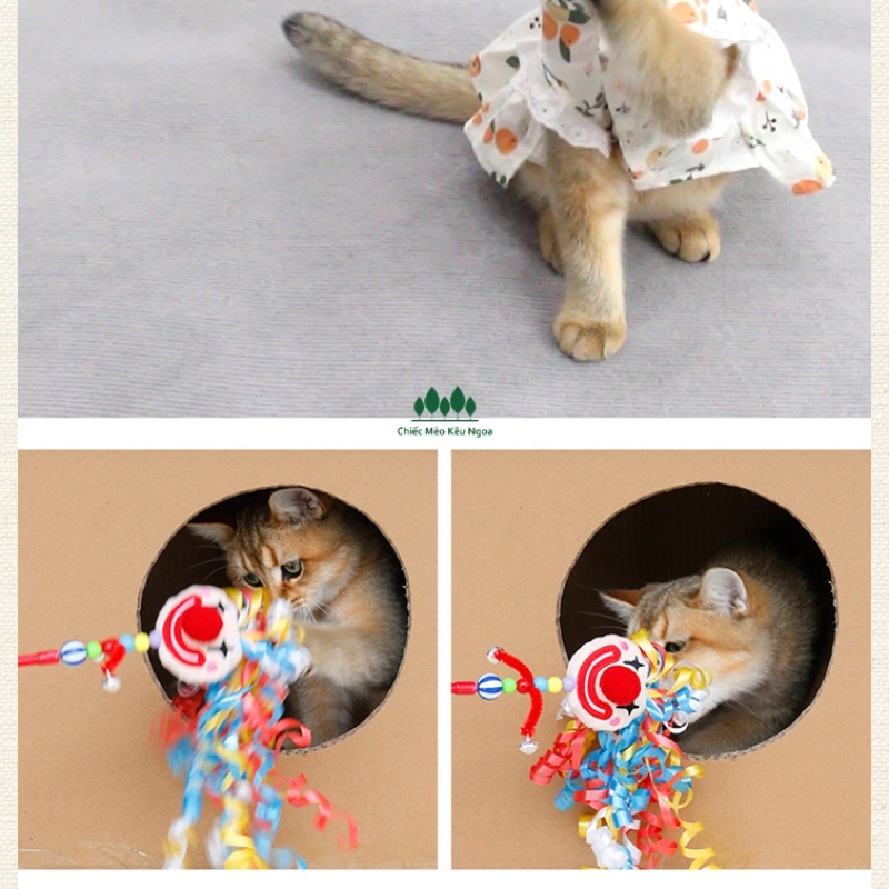 Câu mèo chú hề vui nhộn nhiều màu sắc - Đồ chơi cho mèo - Tiệm Mèo Moa