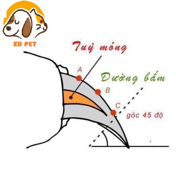 Kìm Bấm Móng Mini Cho Chó Mèo - Dụng Cụ Cắt Tỉa Móng Cho Thú Cưng