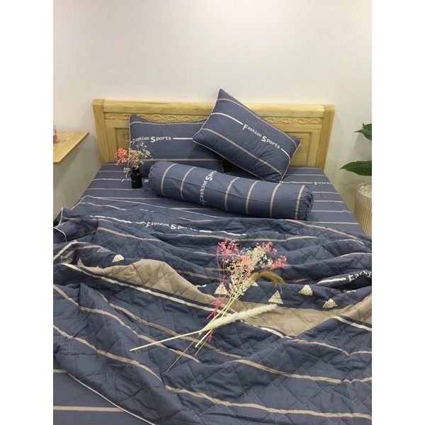 Sale Bộ chăn ga 100% cotton Hàn Quốc 5 món 1m đến 1m8 GỐI ÔM DÂY KHOÁ | BigBuy360 - bigbuy360.vn