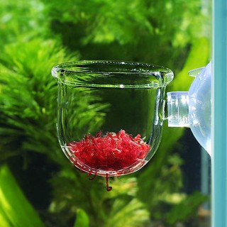 Cốc đựng giun cho cá ăn- Cốc trồng cây trong bể cá cảnh thủy sinh- Cốc đựng giun dán bể kính