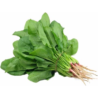 EMIC Chế phẩm EM ủ phân hữu cơ 200g329