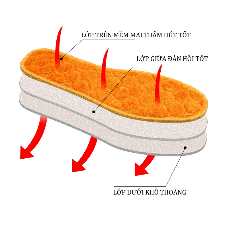 Lót Giầy Khử Mùi Hiệu Quả, Siêu Êm (2 Mẫu)