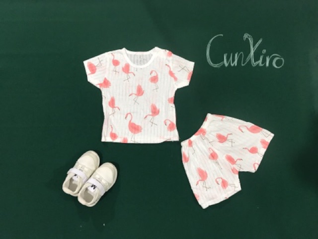 Bộ cotton giấy thông hơi cài vai MADE IN VIETNAM