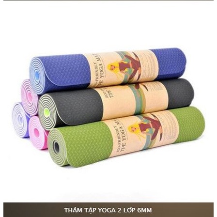 Thảm Tập Yoga TPE 2 Lớp Cao Cấp (Dày 6mm) - Độ Bám Tốt, Chống Trơn Trượt