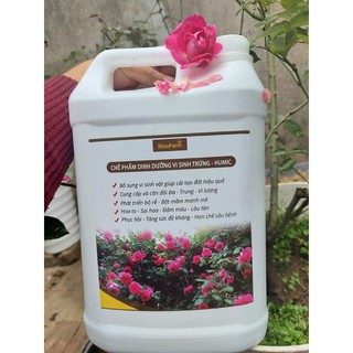 Chế phẩm dinh dưỡng vi sinh trứng -humic can 5 lít